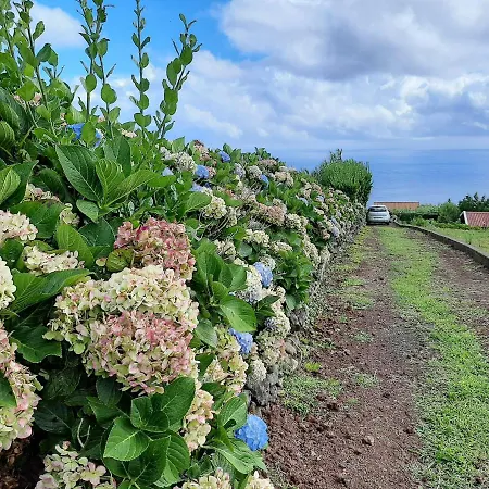 Quinta Primas Lomba (Flores)
