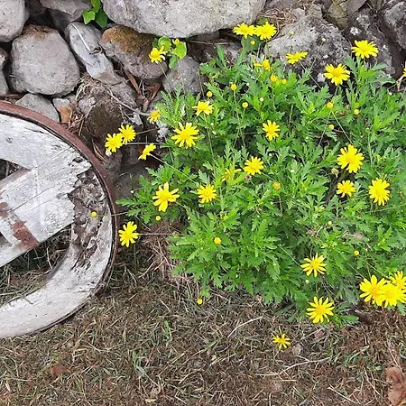 Quinta Primas Casa vacanze *