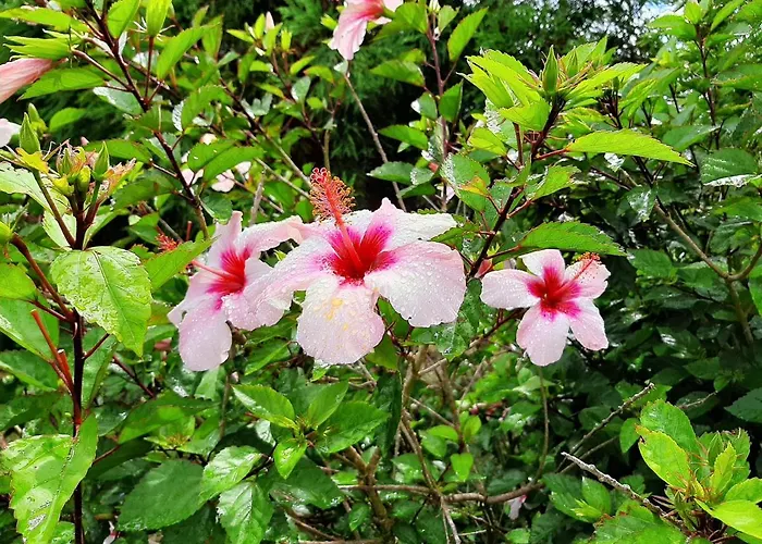 Quinta Primas Ferienhaus