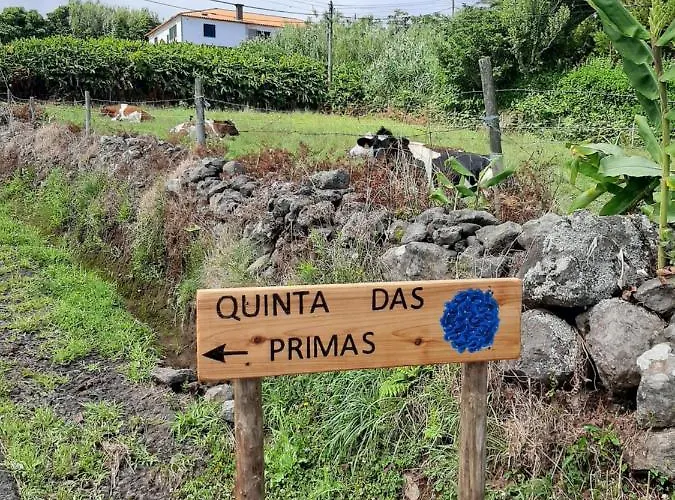 Quinta Primas Ferienhaus Lomba (Flores)