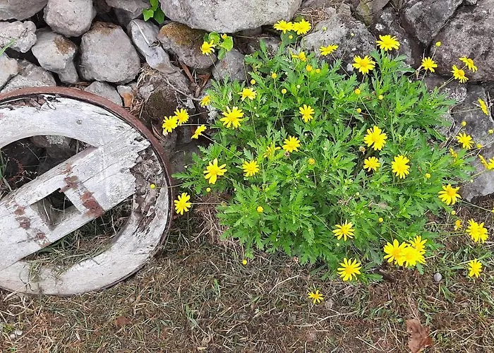 Quinta Primas Casa de Férias *
